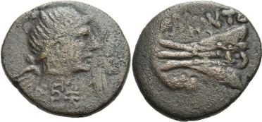 ������: 225-3116