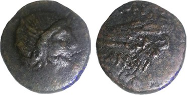 : 225-3116