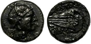 : 225-3116