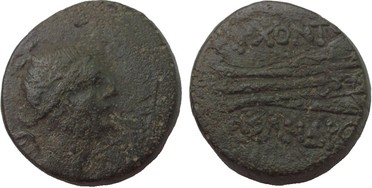 ������: 225-3116