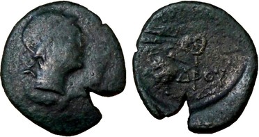 : 225-3116