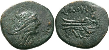 : 225-3116