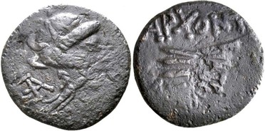 : 225-3116