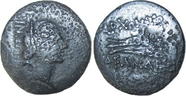 : 225-3116