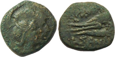 ������: 225-3116