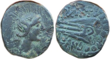 : 225-3116
