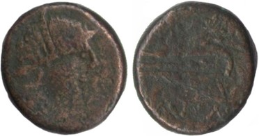: 225-3116