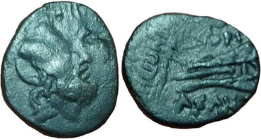 : 225-3116