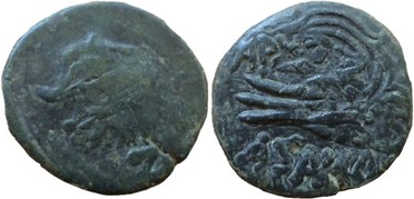 ������: 225-3116