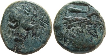 ������: 225-4866