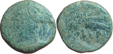 ������: 225-4866