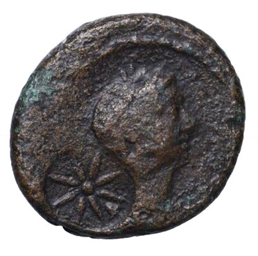 ������: 226-4141