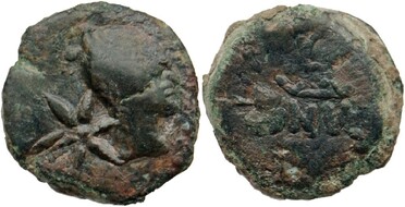 ������: 227-3134