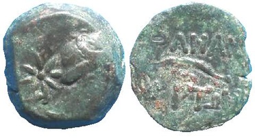 ������: 227-3134