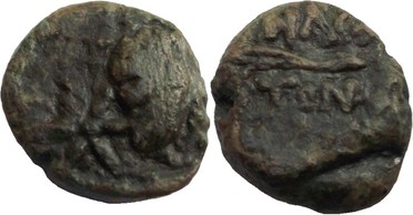 ������: 227-3134