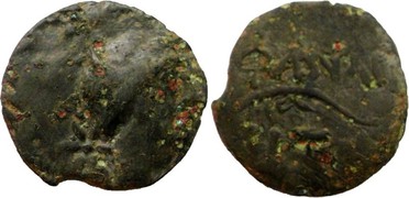 ������: 227-3134