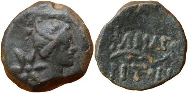 ������: 227-3134