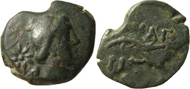 ������: 227-3134