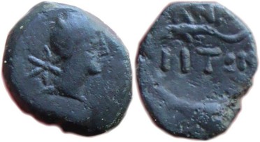 ������: 227-3134