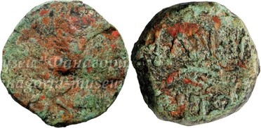 ������: 227-3134