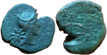 ������: 227-3134