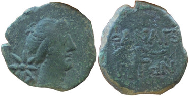 ������: 227-3134