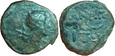 ������: 227-3134