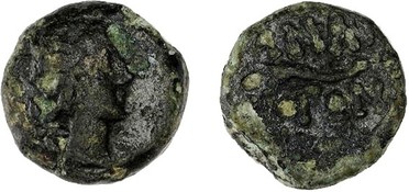 ������: 227-3134