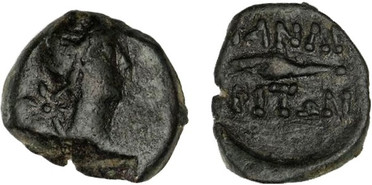 ������: 227-3134