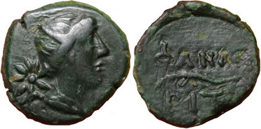 ������: 227-3134