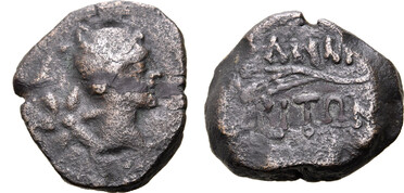 ������: 227-3134