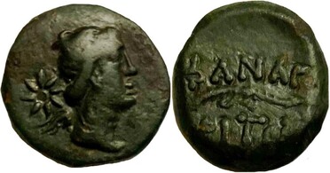 ������: 227-3134