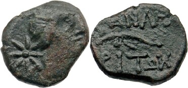 ������: 227-3134