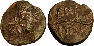 ������: 227-3355