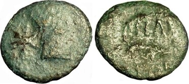 ������: 227-3385