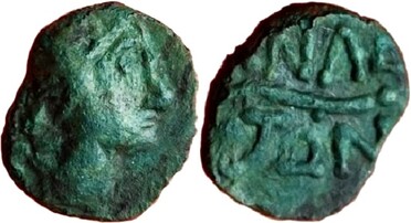 ������: 227-3385