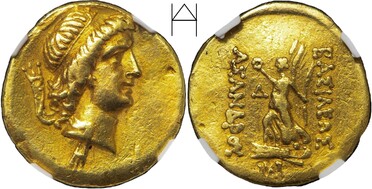 ������: 228-5310