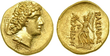 ������: 229-4344