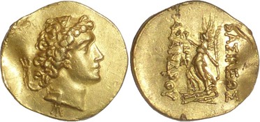 ������: 229-4526