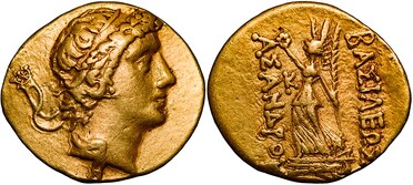������: 238-3374