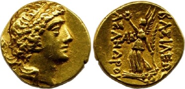 ������: 239-4959