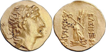 ������: 243-5311