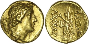 ������: 244-4621