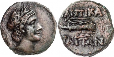 ������: 247-4061