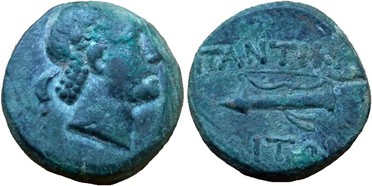 ������: 247-4061