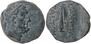 ������: 248-4003