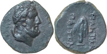 ������: 248-4003