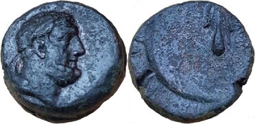 ������: 248-4003