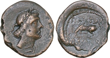 ������: 250-4024