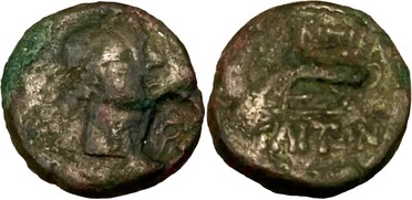 ������: 250-4484